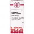 MAGNESIUM CARBONICUM LM VI Dilution