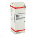MAGNESIUM PHOSPHORICUM D 8 Dilution