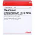 MAGNESIUM PHOSPHORICUM INJEEL forte Ampullen