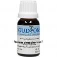 MAGNESIUM PHOSPHORICUM Q 12 Lösung