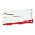 MAMMA DEXTRA GL D 5 Ampullen