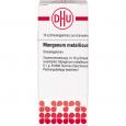 MANGANUM METALLICUM C 200 Globuli