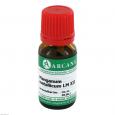 MANGANUM METALLICUM LM 12 Dilution