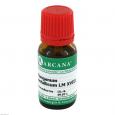 MANGANUM METALLICUM LM 18 Dilution