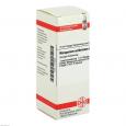 MANGANUM SULFURICUM D 6 Dilution