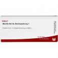 MAXILLA feti GL Serienpackung 1 Ampullen