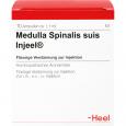 MEDULLA SPINALIS suis Injeel Ampullen