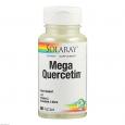 MEGA-QUERCETIN Solaray Kapseln