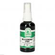 MELISSENKRAUT Spray