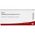 MEMBRANA sinus maxillaris GL D 10 Ampullen