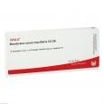 MEMBRANA sinus maxillaris GL D 6 Ampullen