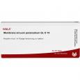MEMBRANA sinuum paransalium GL D 10 Ampullen