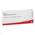MEMBRANA synovialis GL D 6 Ampullen