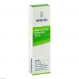 MERCURIALIS PERENNIS 10% Salbe