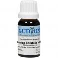 MERCURIUS SOLUBILIS H Q 17 Lösung