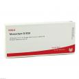 MESENCHYM GL D 30 Ampullen
