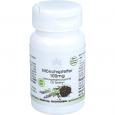 MÖNCHSPFEFFER 100 mg Tabletten