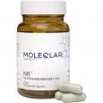 MOLEQLAR LONGEVITY NR+ Nicotinamid Kapseln