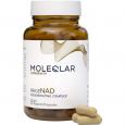 MOLEQLAR LONGEVITY regeNAD Kapseln