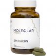 MOLEQLAR Spermidin Kapseln