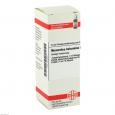 MOMORDICA BALSAMINA D 2 Dilution