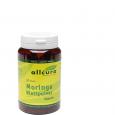 MORINGA BLATTPULVER Kapseln