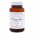 MORINGA MORINGA oleifera Pulver