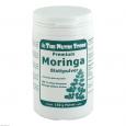 MORINGA OLEIFERA Pulver