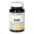 MSM 500 mg GPH Kapseln