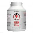 MSM 750 mg Mono 99,9% Kapseln