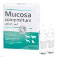 MUCOSA compositum ad us.vet.Ampullen