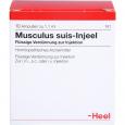 MUSCULUS SUIS Injeel Ampullen