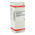 MYRRHIS odorata D 4 Dilution