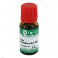 NAJA TRIPUDIANS LM 12 Dilution
