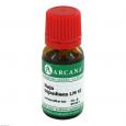 NAJA TRIPUDIANS LM 6 Dilution
