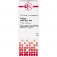 NATRIUM SULFURICUM D 30 Dilution
