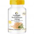 NATTOKINASE 50 mg Kapseln