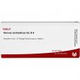 NERVUS ISCHIADICUS GL D 6 Ampullen
