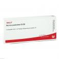 NERVUS PUDENDUS GL D 8 Ampullen