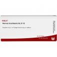 NERVUS TROCHLEARIS GL D 12 Ampullen