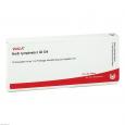 NODI lymphatici GL D 4 Ampullen