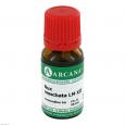 NUX MOSCHATA LM 12 Dilution