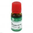 NUX MOSCHATA LM 30 Dilution