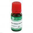 NUX VOMICA LM 120 Dilution