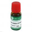 NUX VOMICA LM 18 Dilution