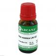 NUX VOMICA LM 3 Dilution