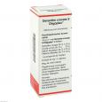 OENANTHE CROCATA S Oligoplex Liquidum