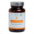 OHRHARMONIE Vit.B12 u.Magnesium Kapseln