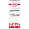 OLEUM TEREBINTHINAE C 5 Globuli Ind.Fert.