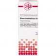 OLEUM TEREBINTHINAE D 10 Dilution